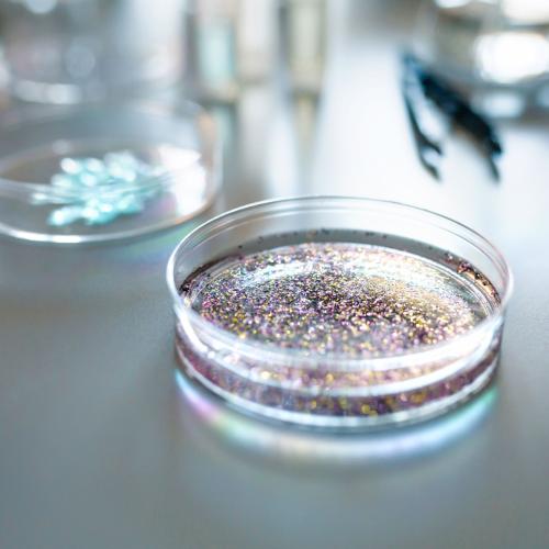 Example photo: Microplastics are difficult to detect in some biological tissues and materials