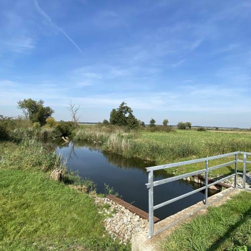 Flooding weir of a polder in the Lower Oder Valley National Park which prevents flodding during summer.