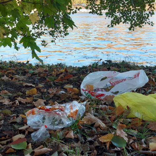 Plastic litter at the riverbanks of Berlin's River Spree 