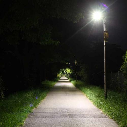 Bild von einer insektenfreundlichen Straßenlaterne