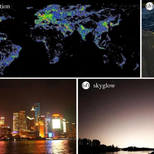 Weltkarte der Lichtverschmutzung mit gro&szlig;en regionalen Unterschieden (Illustration: David Lorenz, 2021). (b) Der Nil und sein Delta in &Auml;gypten als ein globaler hotspot der Lichtverschmutzung (photo: NASA Earth Observatory, 2010). (c) Direkte Lichtverschmutzung am Huangpu in Shanghai, China (photo: Andreas Jechow). (d) Indirekte Lichtverschmutzung durch Skyglow &uuml;ber dem Rhein (Foto: Andreas Jechow) (aus&nbsp;H&ouml;lker et al. 2023)