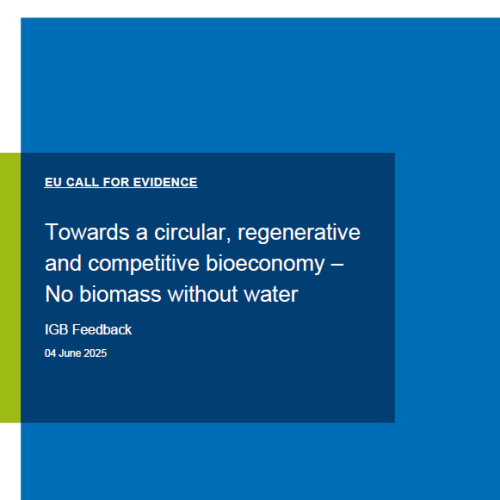 Cover page of the IGB Feedback on EU Bioeconomy Strategy