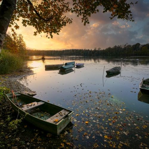 The picture shows a lakeshore with rowing boats in the evening light.