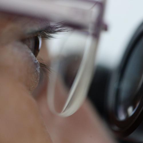 We are investigating the processes in inland waters in various projects. The picture shows a female IGB researcher with glasses looking through a microscope.