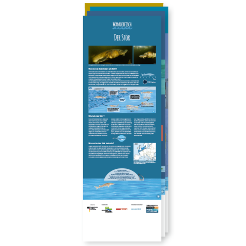 Roll-up-Ansichten in klein