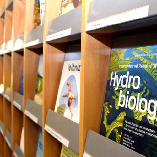 Blick in den Gang der IGB-Bibliothek. Im Vordergrund Fächer mit verschiedenen Fachzeitschriften.
