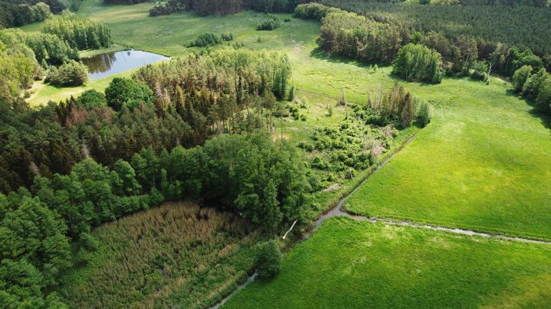 Das Bild zeigt eine Brandenburger Landschaftsaufnahme mit Wiesen, Gräben und Wald.