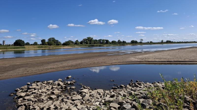 Niedrigwasser: freigelegte Ufer, im Hintergrund die Elbe