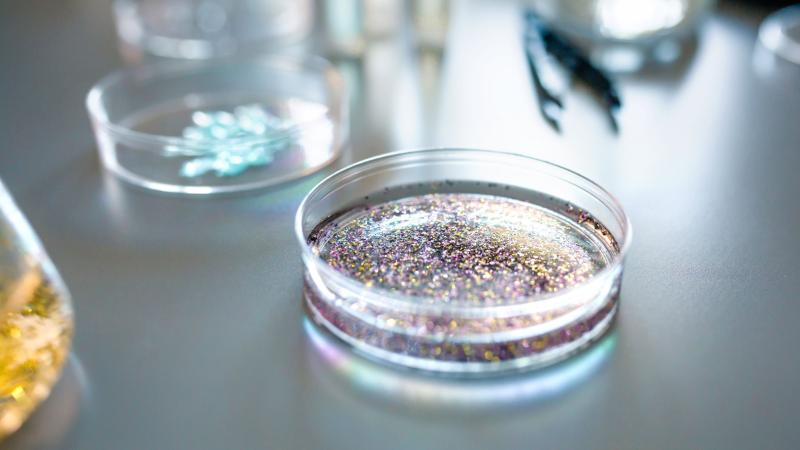 Example photo: Microplastics are difficult to detect in some biological tissues and materials