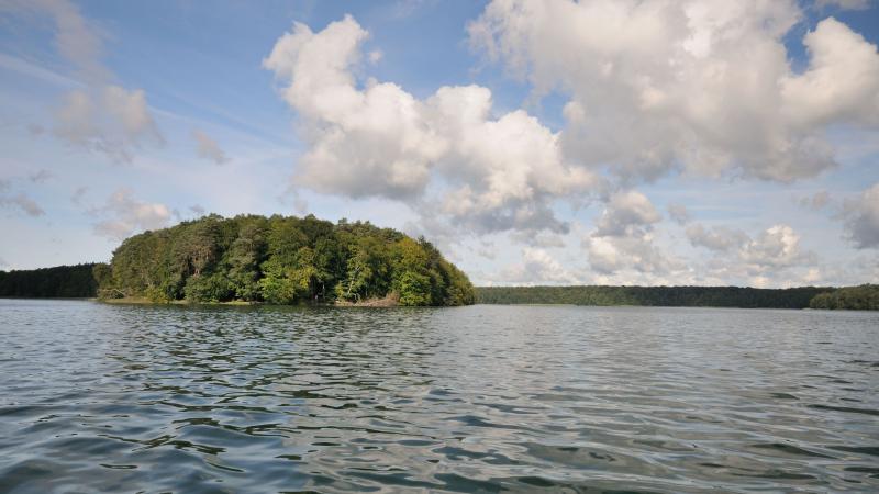 Das Bild zeigt den Stechlinsee