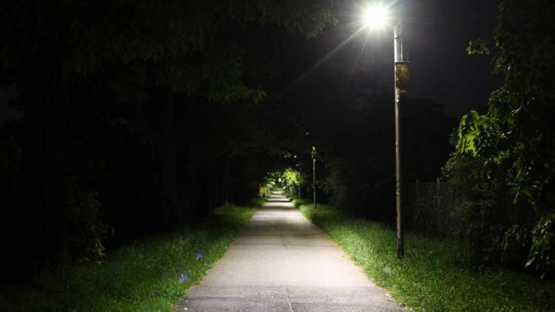 Bild von einer insektenfreundlichen Straßenlaterne