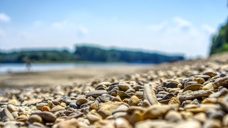 Kiesbett, im Hintergrund der Rhein